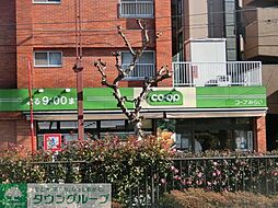 スカイコート池袋 105