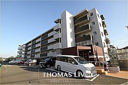 エストラーダ天道