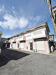 シーシェルピンク 105