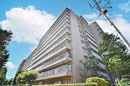 ヴィルヌーブ南越谷A棟 1119