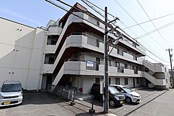 ライト　クローバー 301