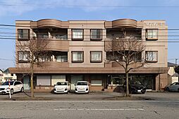 M・フンダリーカ 301