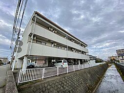 グランピエス 205