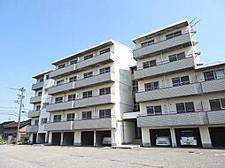 グランスイート藤木 303