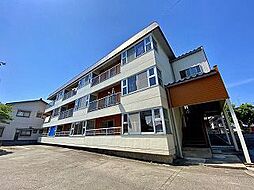 ウィンクいしがねII 301