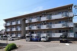 シティハイツ安野屋 206