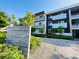 ファースト・コンフォーザ 206