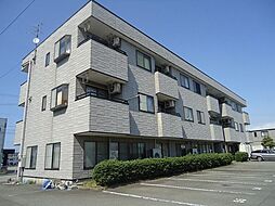 アクア・マリーンM 301
