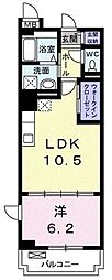 フリシュアイリス 205