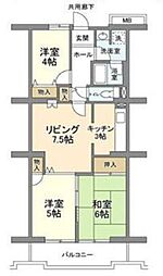 大和市中央林間８丁目