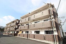 コスモス　A 101