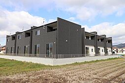 アイリス　Ｂ 1