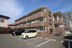 サンフィオーレ　B 301