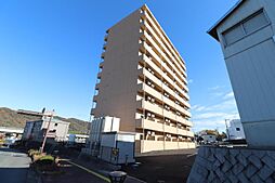 ダンデライオン 406