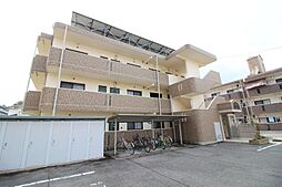 コスモス　B 101