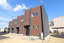 クロッカスII D D-3