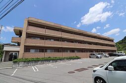 プリムローズ 210