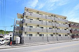 ビッグワンコーポD 203