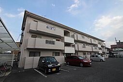 ニューグリーンF 201