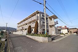 メゾンスプリング 202