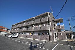 フリージア 205