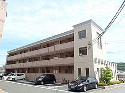 セントラル・アンフィニティＤ 305