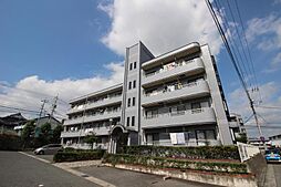 ハイコンスI 203