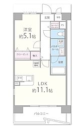 カンマキーノ 501