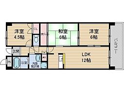 DIO花水木 606