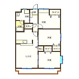 エヴァーグリーン 301