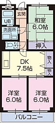 Limpia　USHIO 205