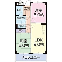 LimpiaGrace 307