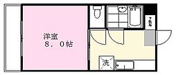 リベルテイシダ 207