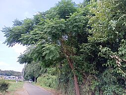 上尾市中分 土地