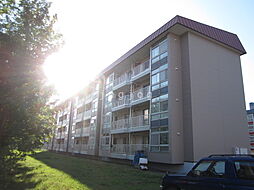 グランドハイツ新明Ｃ棟 407