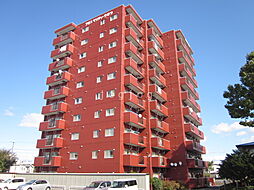 プロスペリティ・クロツ 603