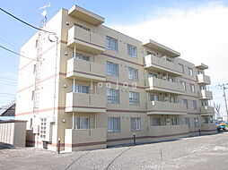 ジラソーレIII 304