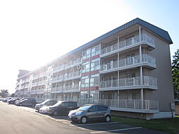 グランドハイツ新明Ｅ棟 203