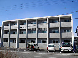 ローヤルハイツ沼ノ端 301