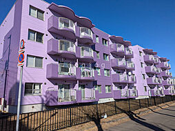 第2ブリリアント若草 303