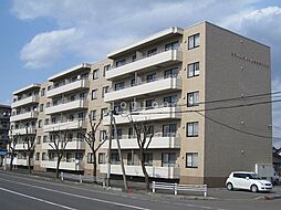 スプリングハイム北光町サウス