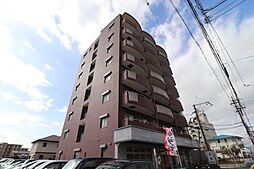 シャインローヤル 505