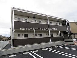 プリマヴェーラII 203
