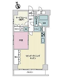 ライオンズマンション国泰寺