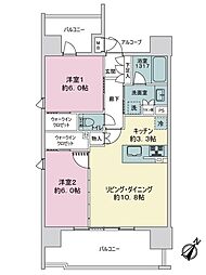 ブランシエラディライト照国