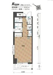 ダイナコート天神南2 202