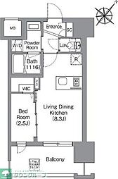 シーズンフラッツ渡辺通 803