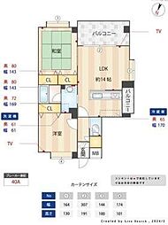 パサデーラ室見 501