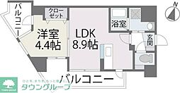 パセオ平尾 203