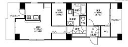 MODERN PALAZZO高宮 301